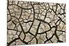 Cracked Mud in Dry River Bed During Summer. Surrey, UK-Alex Hyde-Mounted Photographic Print