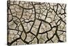 Cracked Mud in Dry River Bed During Summer. Surrey, UK-Alex Hyde-Stretched Canvas