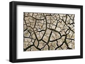 Cracked Mud in Dry River Bed During Summer. Surrey, UK-Alex Hyde-Framed Photographic Print