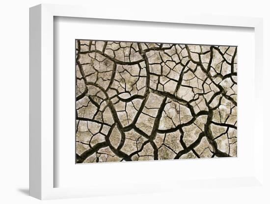 Cracked Mud in Dry River Bed During Summer. Surrey, UK-Alex Hyde-Framed Photographic Print