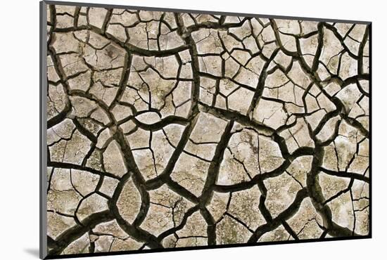 Cracked Mud in Dry River Bed During Summer. Surrey, UK-Alex Hyde-Mounted Photographic Print