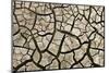 Cracked Mud in Dry River Bed During Summer. Surrey, UK-Alex Hyde-Mounted Photographic Print