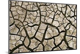 Cracked Mud in Dry River Bed During Summer. Surrey, UK-Alex Hyde-Mounted Photographic Print