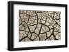 Cracked Mud in Dry River Bed During Summer. Surrey, UK-Alex Hyde-Framed Premium Photographic Print