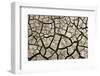 Cracked Mud in Dry River Bed During Summer. Surrey, UK-Alex Hyde-Framed Premium Photographic Print