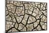 Cracked Mud in Dry River Bed During Summer. Surrey, UK-Alex Hyde-Mounted Premium Photographic Print