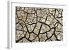 Cracked Mud in Dry River Bed During Summer. Surrey, UK-Alex Hyde-Framed Photographic Print