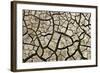 Cracked Mud in Dry River Bed During Summer. Surrey, UK-Alex Hyde-Framed Photographic Print