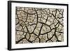 Cracked Mud in Dry River Bed During Summer. Surrey, UK-Alex Hyde-Framed Photographic Print