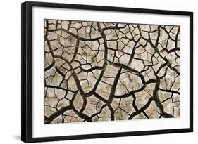 Cracked Mud in Dry River Bed During Summer. Surrey, UK-Alex Hyde-Framed Photographic Print