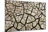 Cracked Mud in Dry River Bed During Summer. Surrey, UK-Alex Hyde-Mounted Photographic Print