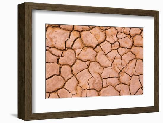 Cracked mud patterns on the playa, Clark Dry Lake, Anza-Borrego Desert State Park, California-Russ Bishop-Framed Photographic Print