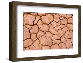 Cracked mud patterns on the playa, Clark Dry Lake, Anza-Borrego Desert State Park, California-Russ Bishop-Framed Photographic Print