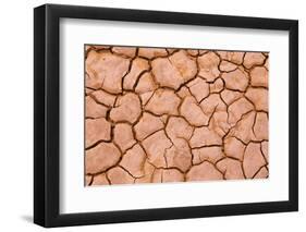 Cracked mud patterns on the playa, Clark Dry Lake, Anza-Borrego Desert State Park, California-Russ Bishop-Framed Photographic Print