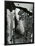 Cracked Paint, 1969-Brett Weston-Framed Photographic Print