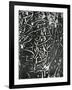 Cracked Paint, 1970-Brett Weston-Framed Photographic Print