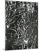Cracked Paint, 1970-Brett Weston-Mounted Photographic Print