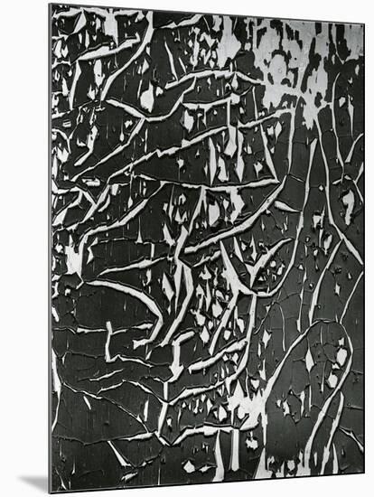 Cracked Paint, 1970-Brett Weston-Mounted Photographic Print