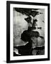 Cracked Paint, 1970-Brett Weston-Framed Photographic Print