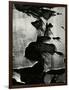 Cracked Paint, 1970-Brett Weston-Framed Photographic Print