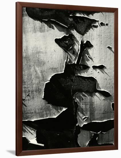 Cracked Paint, 1970-Brett Weston-Framed Photographic Print