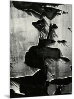 Cracked Paint, 1970-Brett Weston-Mounted Photographic Print