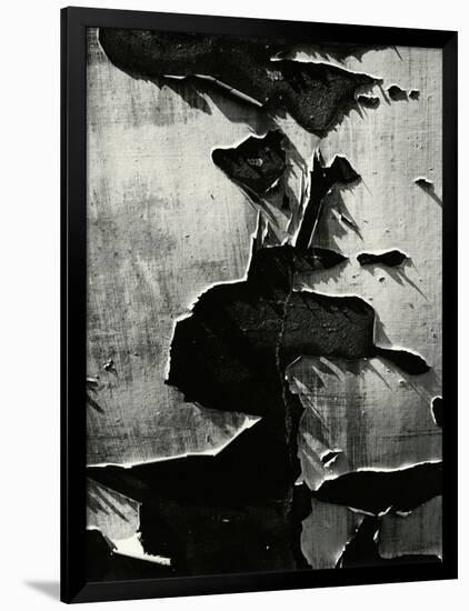 Cracked Paint, 1970-Brett Weston-Framed Photographic Print