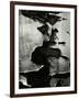 Cracked Paint, 1970-Brett Weston-Framed Photographic Print