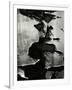 Cracked Paint, 1970-Brett Weston-Framed Photographic Print