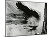 Cracked Paint, 1972-Brett Weston-Mounted Premium Photographic Print