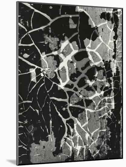 Cracked Paint, 1974-Brett Weston-Mounted Photographic Print