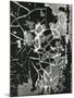 Cracked Paint, 1974-Brett Weston-Mounted Photographic Print