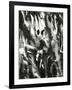 Cracked Plastic Paint, Garrapata, 1955-Brett Weston-Framed Photographic Print