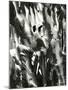 Cracked Plastic Paint, Garrapata, 1955-Brett Weston-Mounted Photographic Print