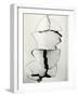 Cracked Wallboard, California, 1976-Brett Weston-Framed Photographic Print