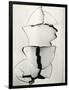 Cracked Wallboard, California, 1976-Brett Weston-Framed Photographic Print