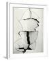 Cracked Wallboard, California, 1976-Brett Weston-Framed Photographic Print