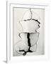 Cracked Wallboard, California, 1976-Brett Weston-Framed Photographic Print