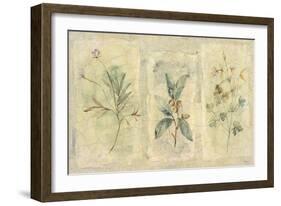 Crackle Sprigs I-Paul Hargittai-Framed Art Print