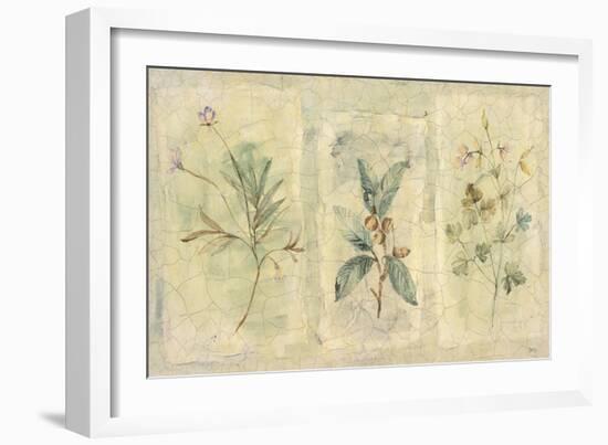 Crackle Sprigs I-Paul Hargittai-Framed Art Print