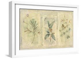 Crackle Sprigs I-Paul Hargittai-Framed Art Print