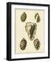 Crackled Antique Shells IV-Denis Diderot-Framed Art Print