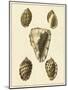 Crackled Antique Shells IV-Denis Diderot-Mounted Art Print