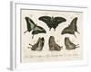 Crackled Butterflies II-Vision Studio-Framed Art Print