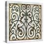 Crackled Decorative Gates I-Vision Studio-Stretched Canvas