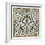 Crackled Decorative Gates I-Vision Studio-Framed Art Print