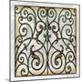 Crackled Decorative Gates I-Vision Studio-Mounted Art Print