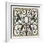 Crackled Decorative Gates II-Vision Studio-Framed Art Print