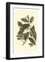 Crackled Flourishing Foliage III-Vision Studio-Framed Art Print