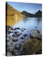 Cradle Mountain and Dove Lake, Cradle Mountain-Lake St. Clair National Park, Tasmania, Australia-Jochen Schlenker-Stretched Canvas